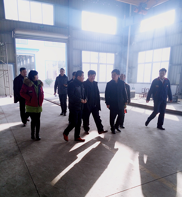 安庆市纪委领导来我司督查县招商引资项目进展情况